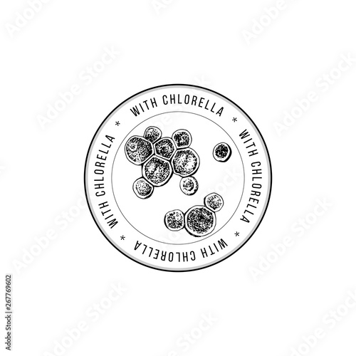 Round emblem with hand drawn chlorella algae