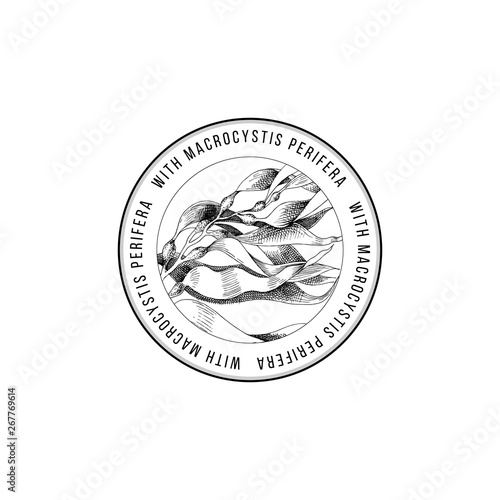 Round emblem with hand drawn macrocystis seaweed