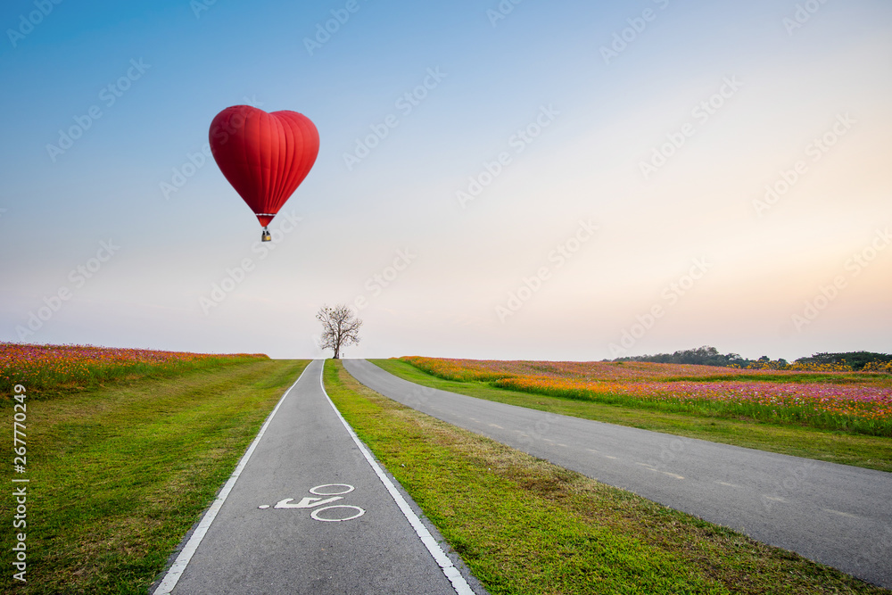 Fotografie Red hot air balloon in the shape of a heart over cosmos flower field on sunset