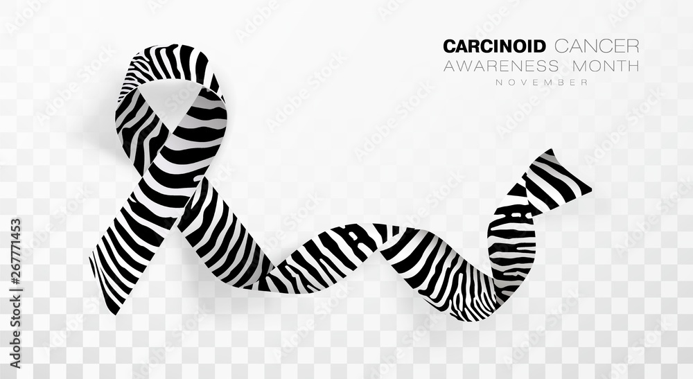 Carcinoid Cancer Awareness Month. Zebra Stripe Color Ribbon Isolated On