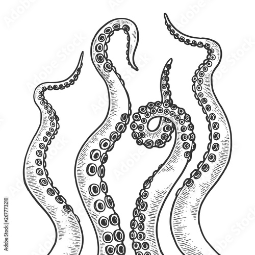 Octopus tentacle set sketch engraving vector illustration. Scratch board style imitation. Black and white hand drawn image.