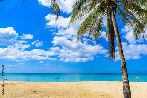 Surin beach  Paradise beach with golden sand  crystal water and palm trees  Patong area on Phuket Island  Tropical travel destination  Thailand