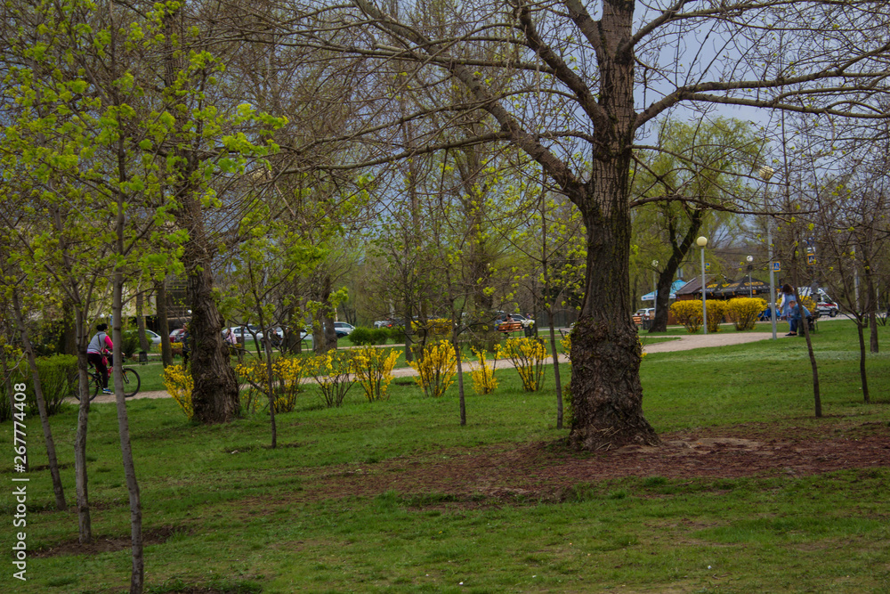  Beautiful park in spring and unidentified people in the park.