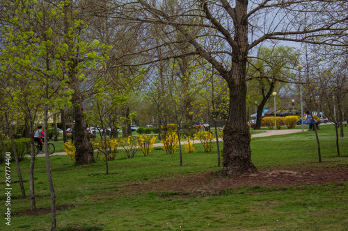  Beautiful park in spring and unidentified people in the park.