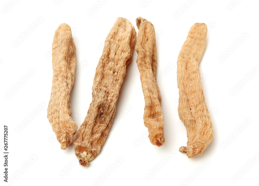 Gastrodia elata on white background Gastrodia elata on white background