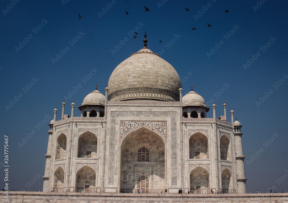 Fototapeta premium taj mahal in india