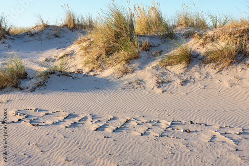 "Sommer" mit Steinen in den Sand geschrieben