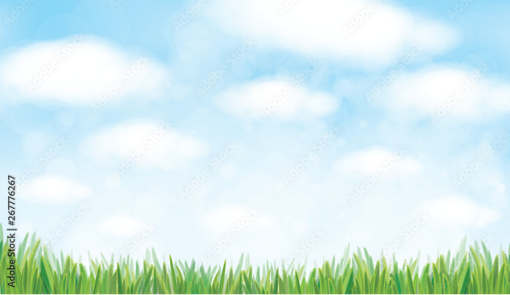 Vector nature background, blue sky and green grass. Stock Vector ...