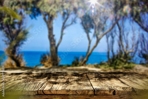 Desk of free space and summer beach landscape with trees  © magdal3na