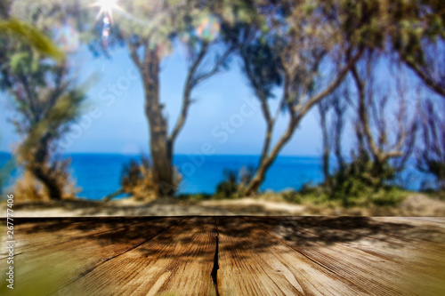 Desk of free space and summer beach landscape with trees  © magdal3na