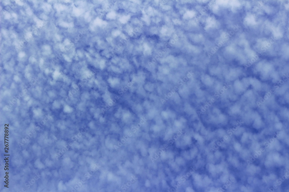 Cirrocumulus cloud spreading in the blue sky Cirrocumulus cloud spreading in the blue sky