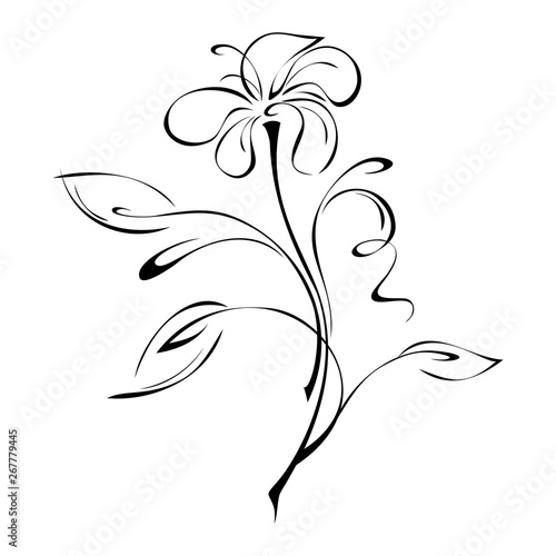 stylized flower on stem with leaves and curls in black lines on white background