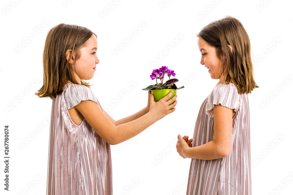 Identical twin girl giving viola flower pot to her sister. Identical twin girl giving viola flower pot to her sister.
