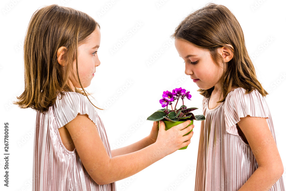 Identical twin girl giving viola flower pot to her sister. Identical twin girl giving viola flower pot to her sister.