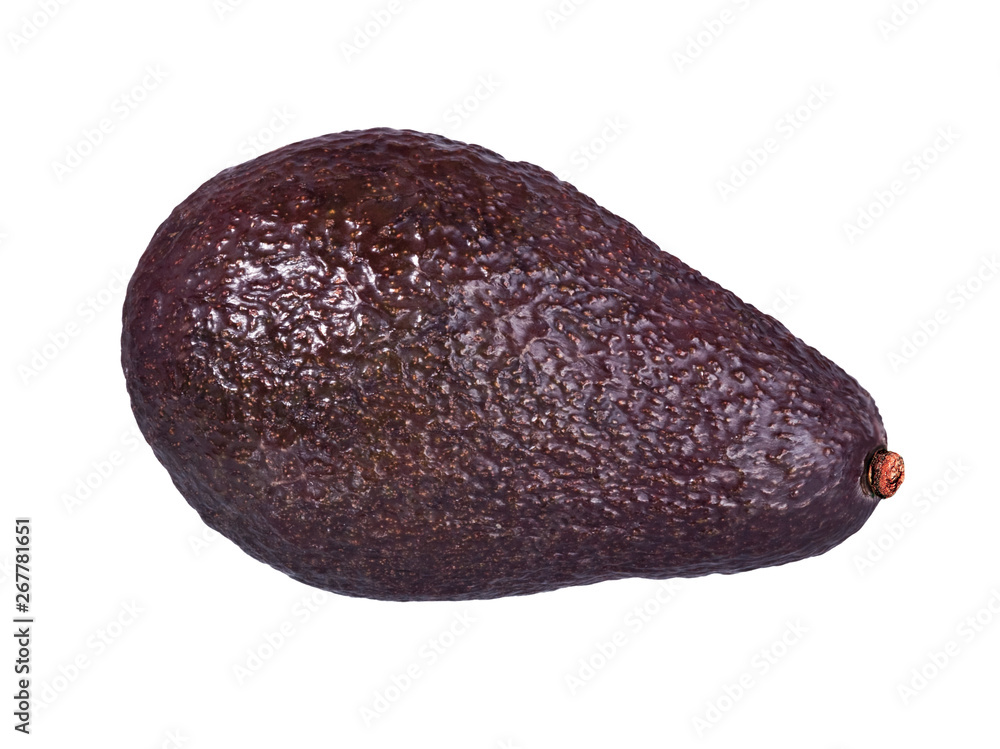 Avocado Avocado