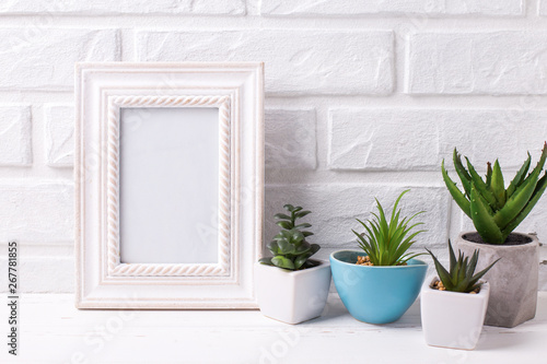 Empty frame mockup and succulents and cactus plants in pots  near by white brick wall. © daffodilred