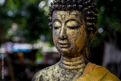 Buddha Statue against Green Background