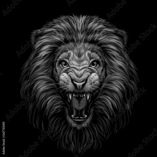 Monochrome portrait of a growling lion on a black background