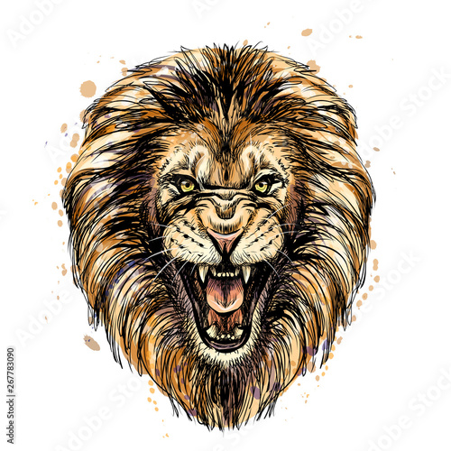 Sketchy graphic color portrait of a roaring lion on a white background with splashes of watercolor