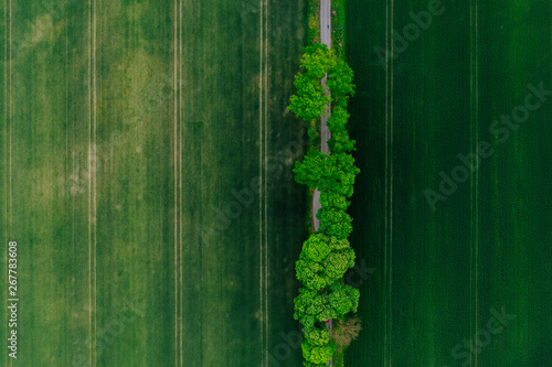 aerial drone shot of the road and fields