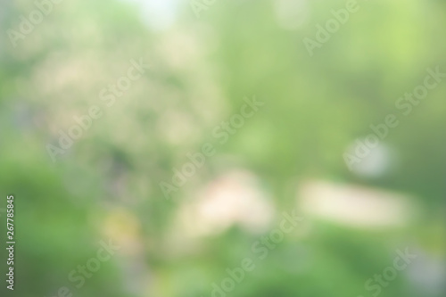 Blurred soft background. Blurred summer background of trees, leaves and flowers. The effect of the defocus of the open aperture.