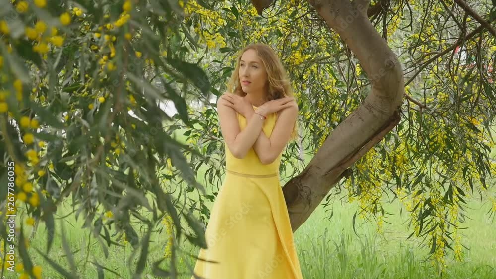Young beautiful smiling woman in spring Australian Golden wattle trees. Young beautiful smiling woman in spring Australian Golden wattle trees.