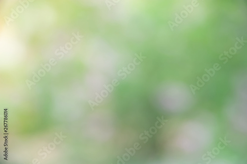 Blurred soft background. Blurred summer background of trees, leaves and flowers. The effect of the defocus of the open aperture.