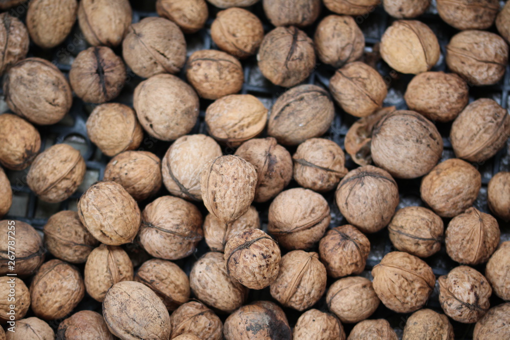 Walnut Walnut