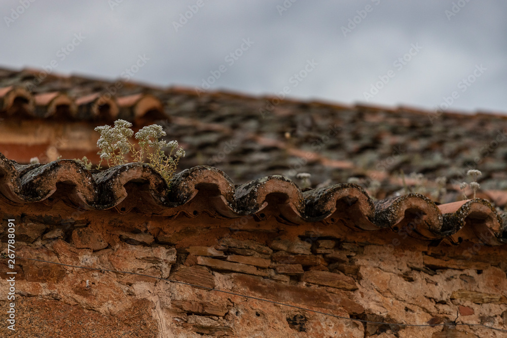 old church roof