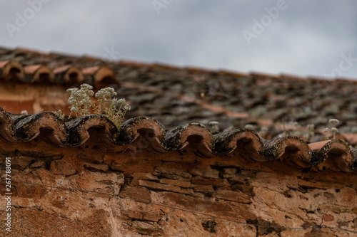 Obraz na płótnie old church roof w salonie