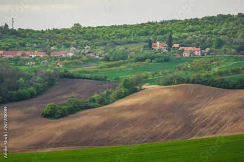 Moravian fields at spring near Svatoborice village, Hodonin, Czech Republic