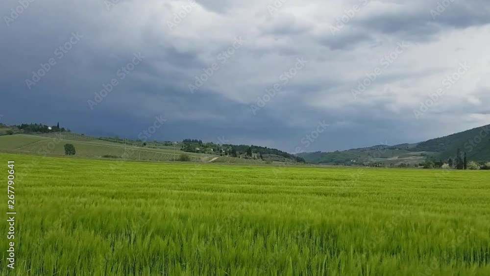Static shot of Green Meadow Of Wheat And Heavy Rain Clouds realtime. Pontassieve, Tuscany Italy Static shot of Green Meadow Of Wheat And Heavy Rain Clouds realtime. Pontassieve, Tuscany Italy