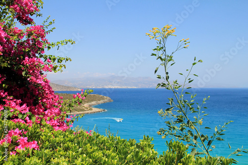 Sailing in blue sea lagoon, speed boats in the gulf on a sunny summer day. Beautiful landscape with tropical coast view from above. Motorboat crossing ocean. Exotic paradise landscape with flowers