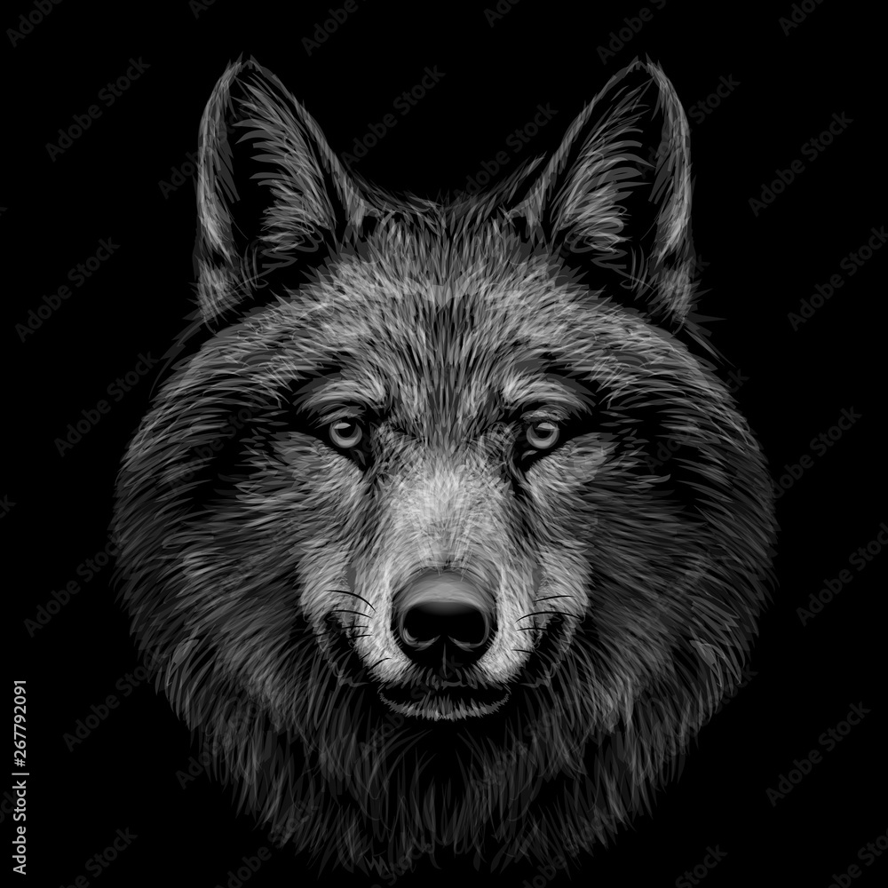Wolf Head Black And White