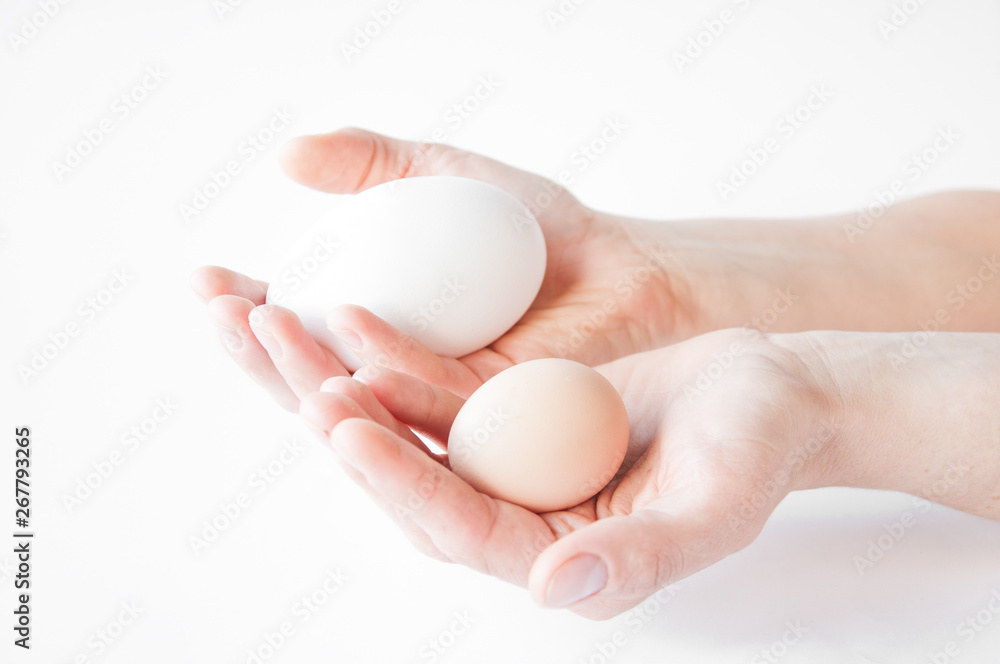 holds in both hands a large white and small egg on a white background holds in both hands a large white and small egg on a white background