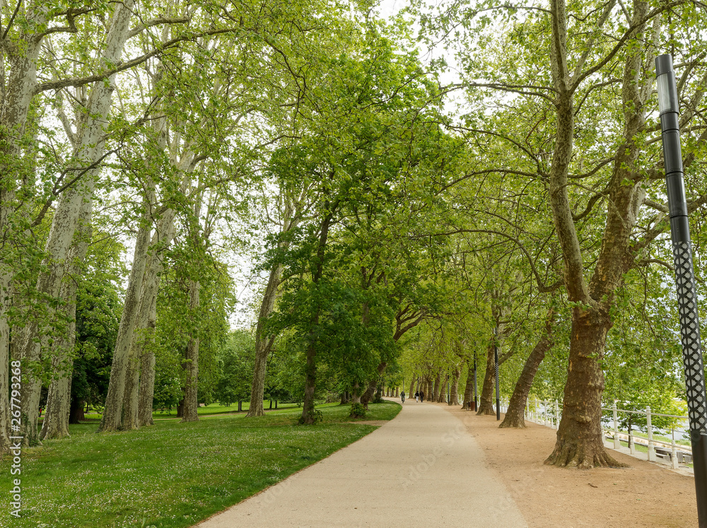 Les parcs de Vichy. Espaces verts du Parc Kennedy, des Bourins et célestins au bord de l'Allier 