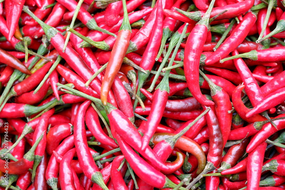 red chillies background red chillies background