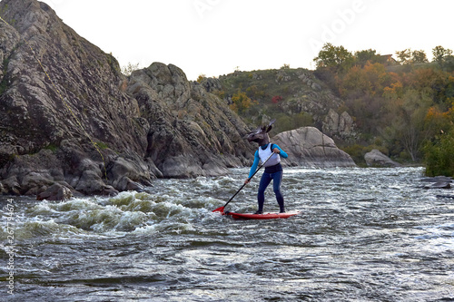 Funny man dressed as an elk (moose) is paddling on a SUP board on fast mountain whitewater river among the rapids at dusk at dusk. Costume water show. Stand up paddle boarding - active recreation.