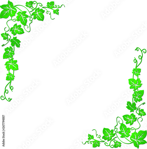 Vector image of a vine with leaves that are well suited for presentations, backgrounds, illustrations.