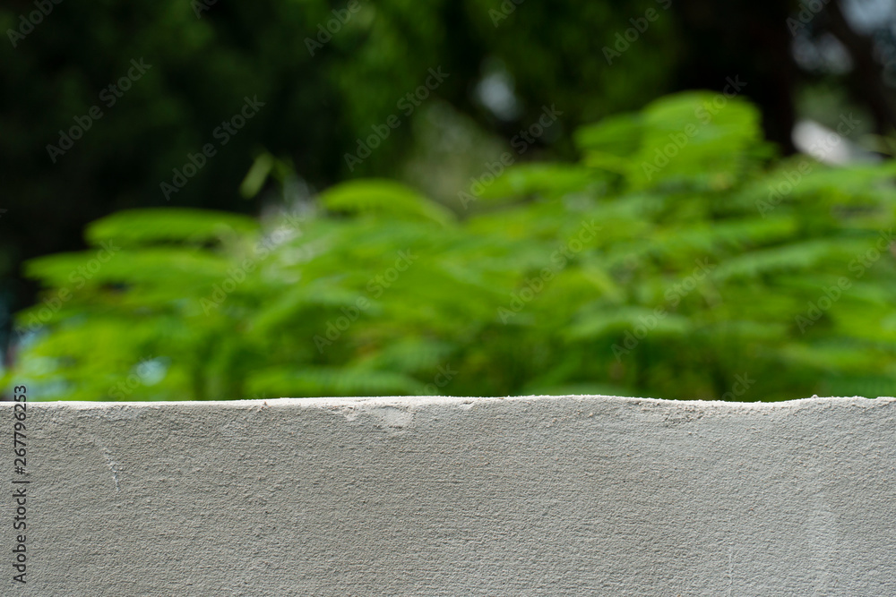 Front half of cement wall with nature of garden tree for background. Stock  Photo | Adobe Stock