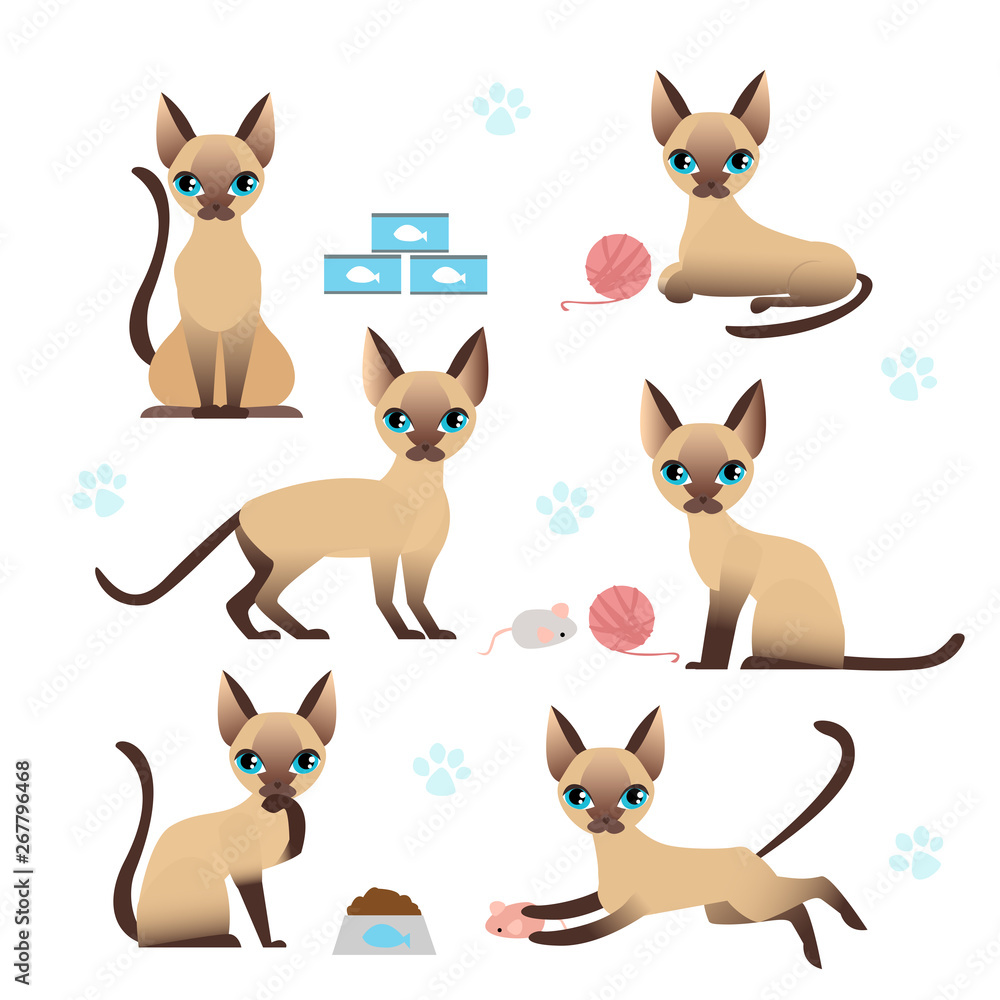 Vector illustration set of cute kitten in various poses with cat paw prints on white background. Collection of cat in different positions - playing, eating and jumping in flat cartoon style. cat for