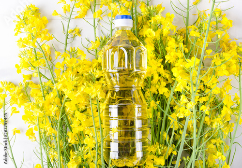 Top view of rapeseeds oil in the plastic bottle.Bootle of canola oil on the blooming canola flowers