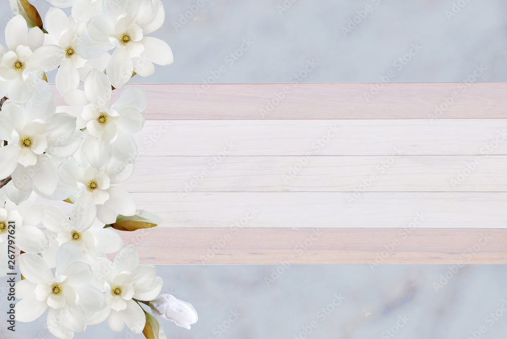 Magnolia on paper background with space for text. Magnolia on paper background with space for text.