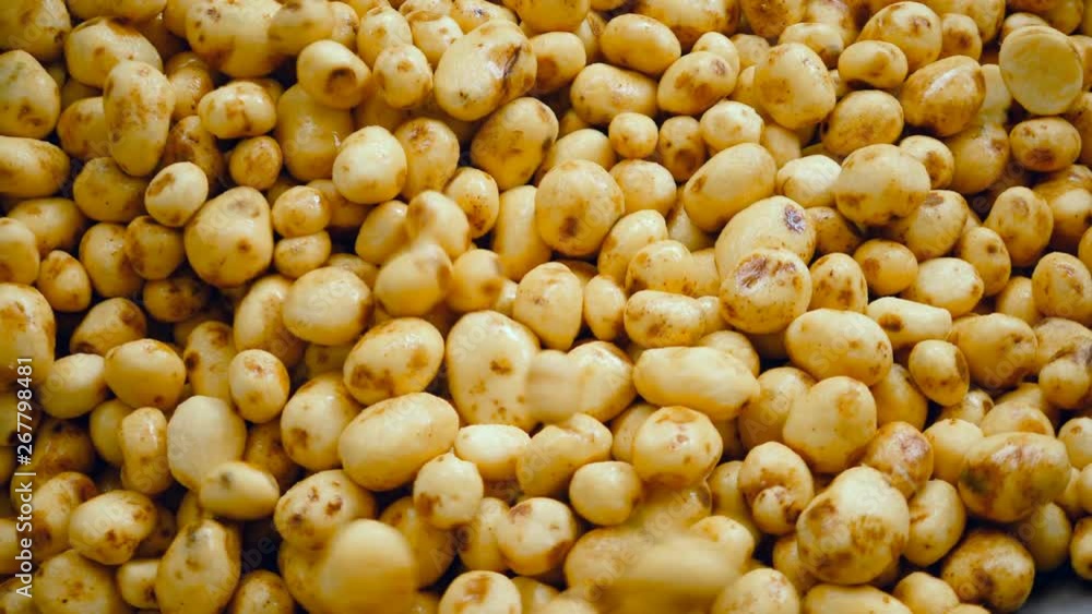 Heap of peeled potatoes stored in a container at a factory. Heap of peeled potatoes stored in a container at a factory.