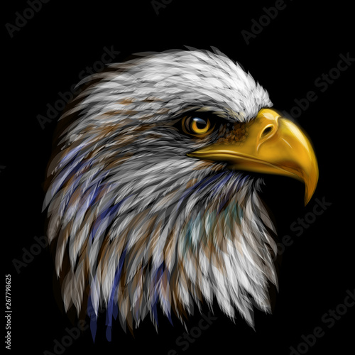 Graphic, color portrait of a  eagle on a black background.