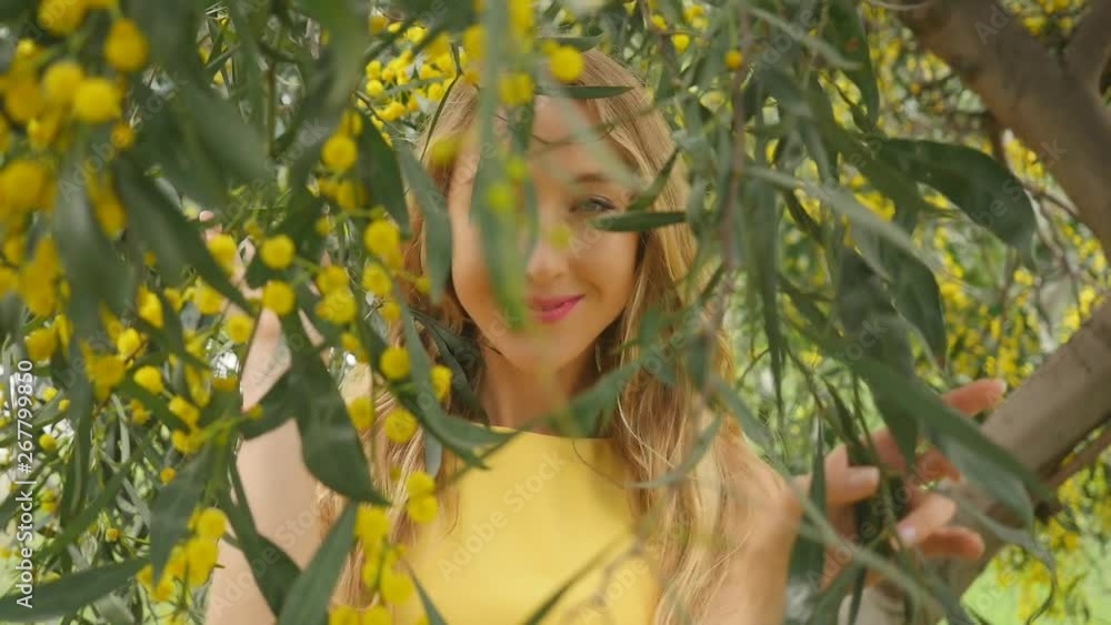 Young beautiful smiling woman in spring Australian Golden wattle trees. Young beautiful smiling woman in spring Australian Golden wattle trees.