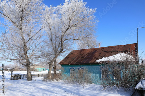 House and tree in hoarfrost in Russian village