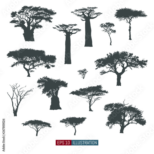 Tableau sur toile African tree isolated silhouettes set