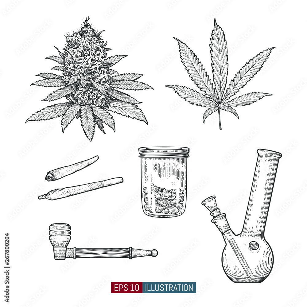 Hand drawn marijuana set. Leaves and buds. Jar, bong, pipe and ...
