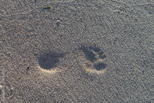 Single footprint in the sand at dusk